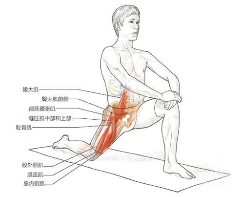 为什么模拟训练是篮球发展的重要环节_1